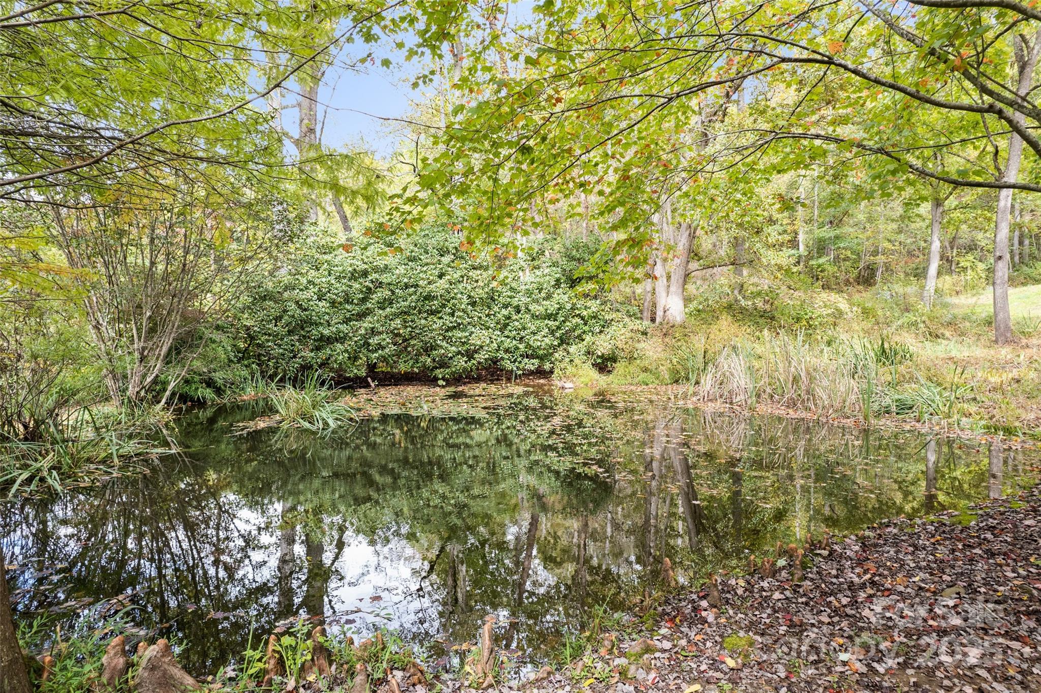 940 Haynes Cove Clyde, NC 28721 - Photo 6 of 48 a view of a yard with plants and wooden fence