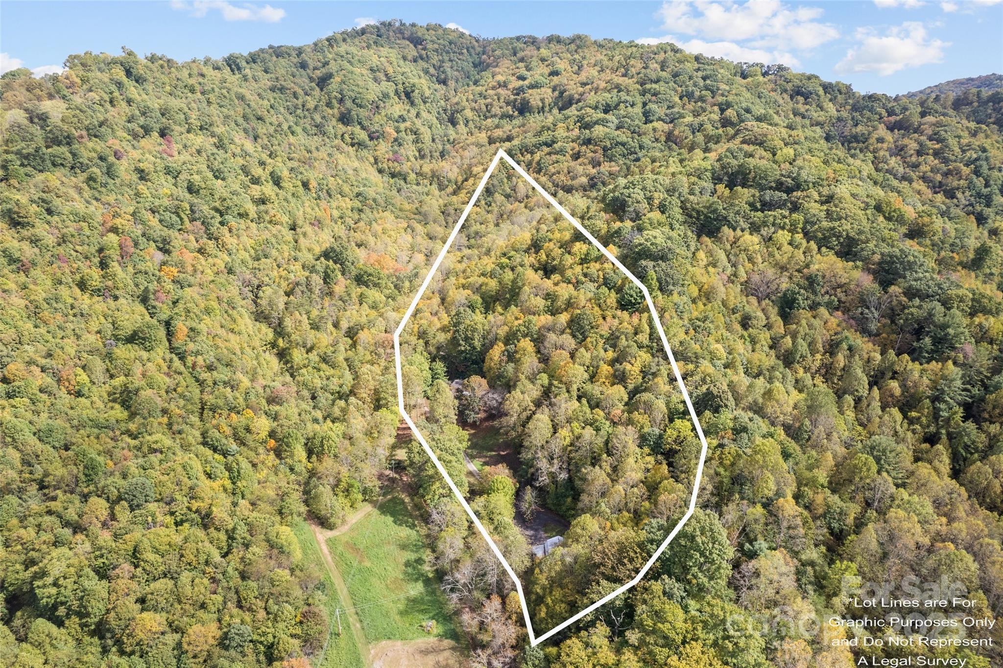 940 Haynes Cove Clyde, NC 28721 - Photo 7 of 48 a view of a yard