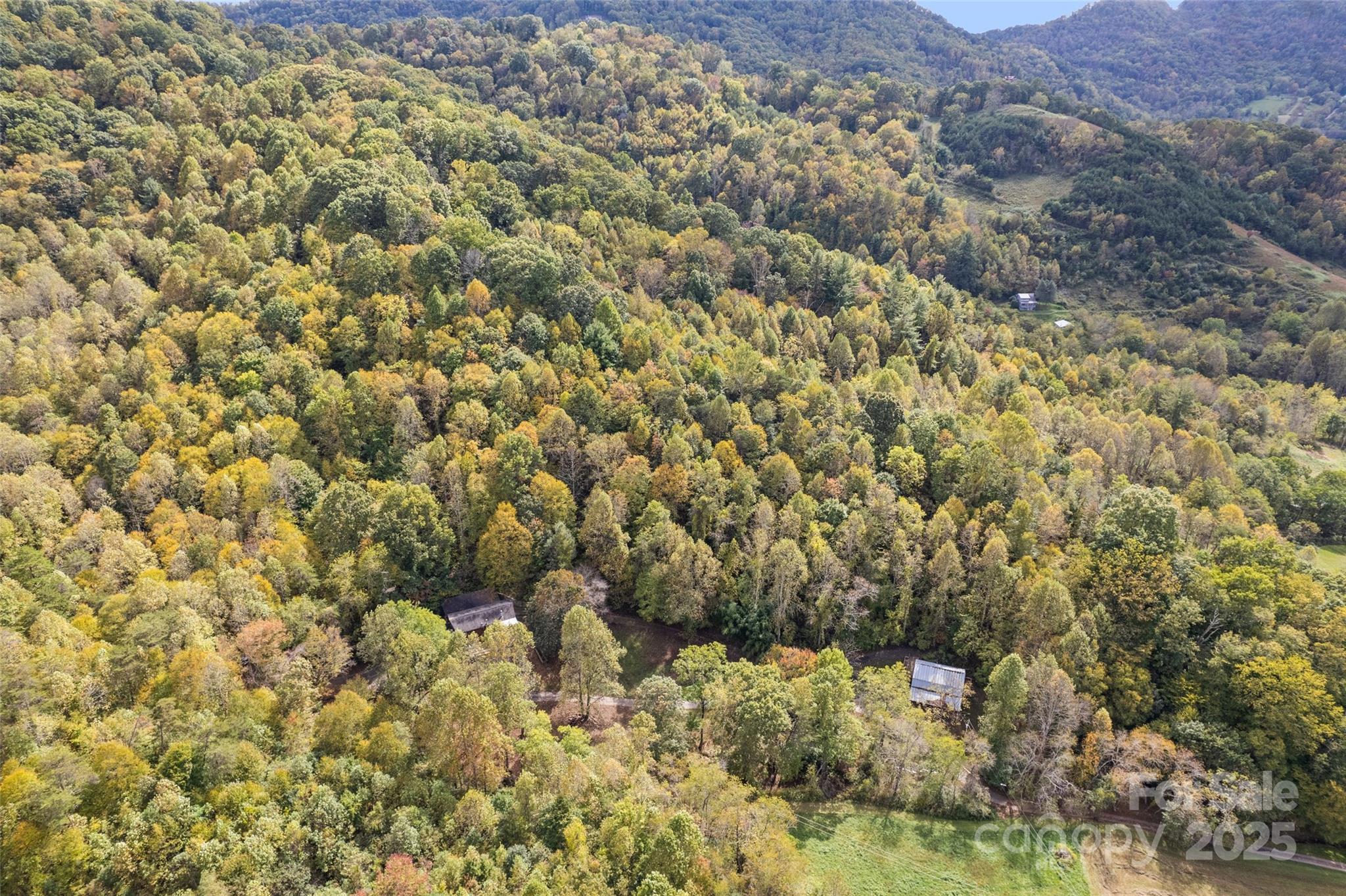 940 Haynes Cove Clyde, NC 28721 - Photo 8 of 48 a view of a field