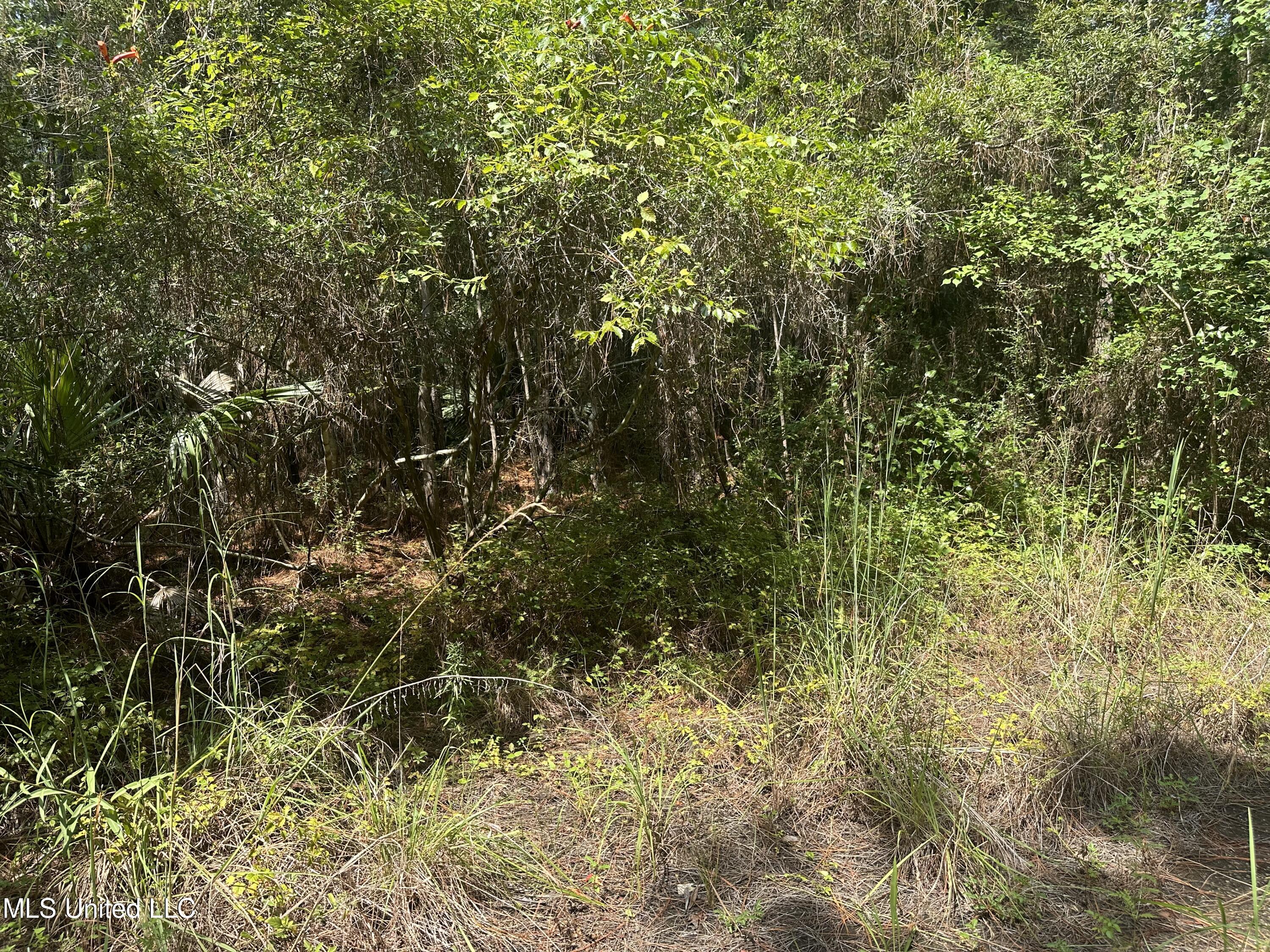 0 Duke St Pass Pass Christian, MS 39571 - Photo 3 of 3 IMG_3742