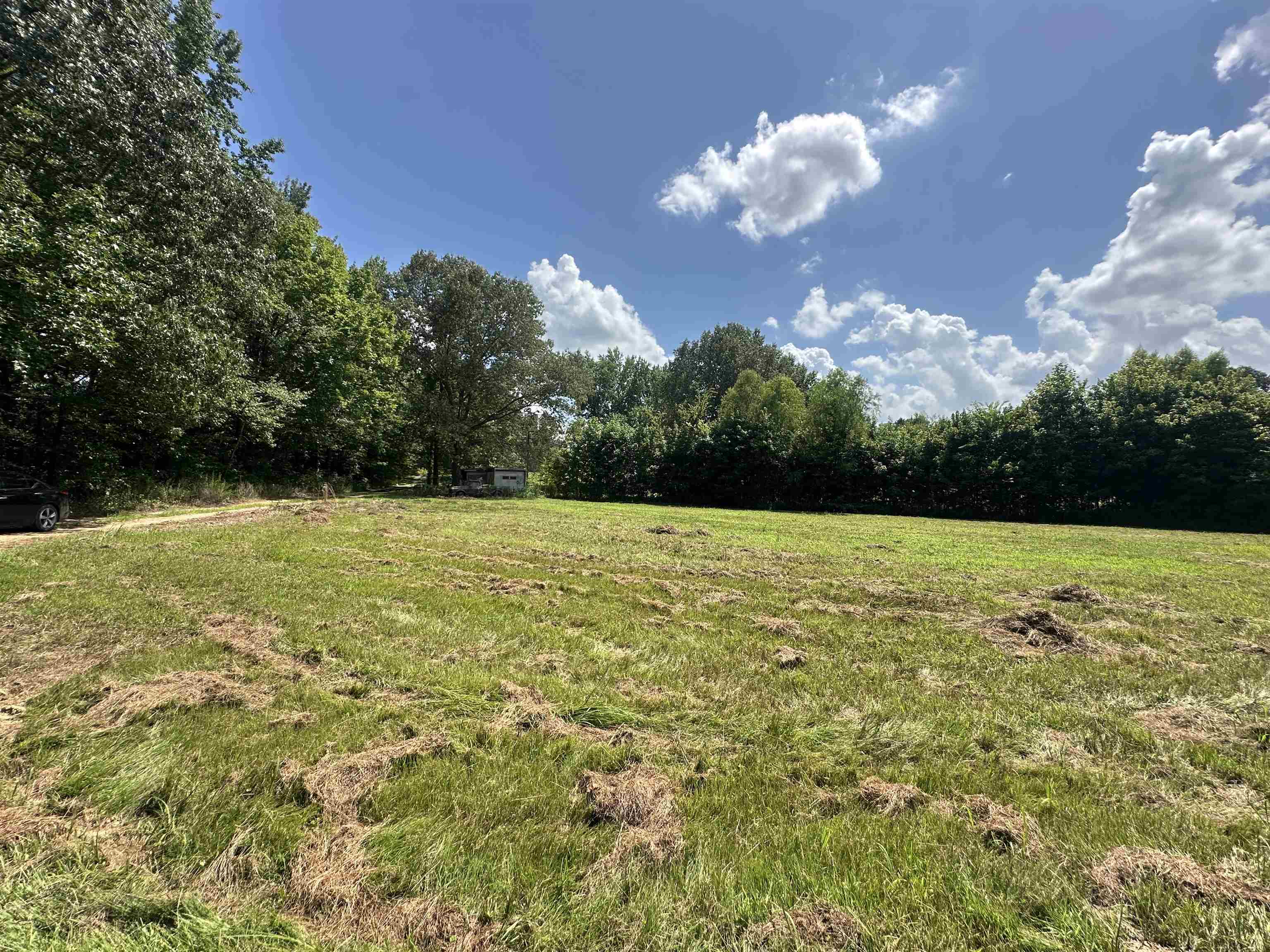 0 Old L&N Road Stanton, TN 38069 - Photo 2 of 10 a view of an outdoor space and a yard