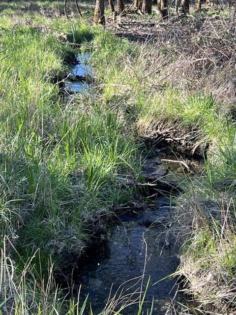 6500 Donaldson Road Grants Pass, OR 97526 - Photo 6 of 9 pic 9