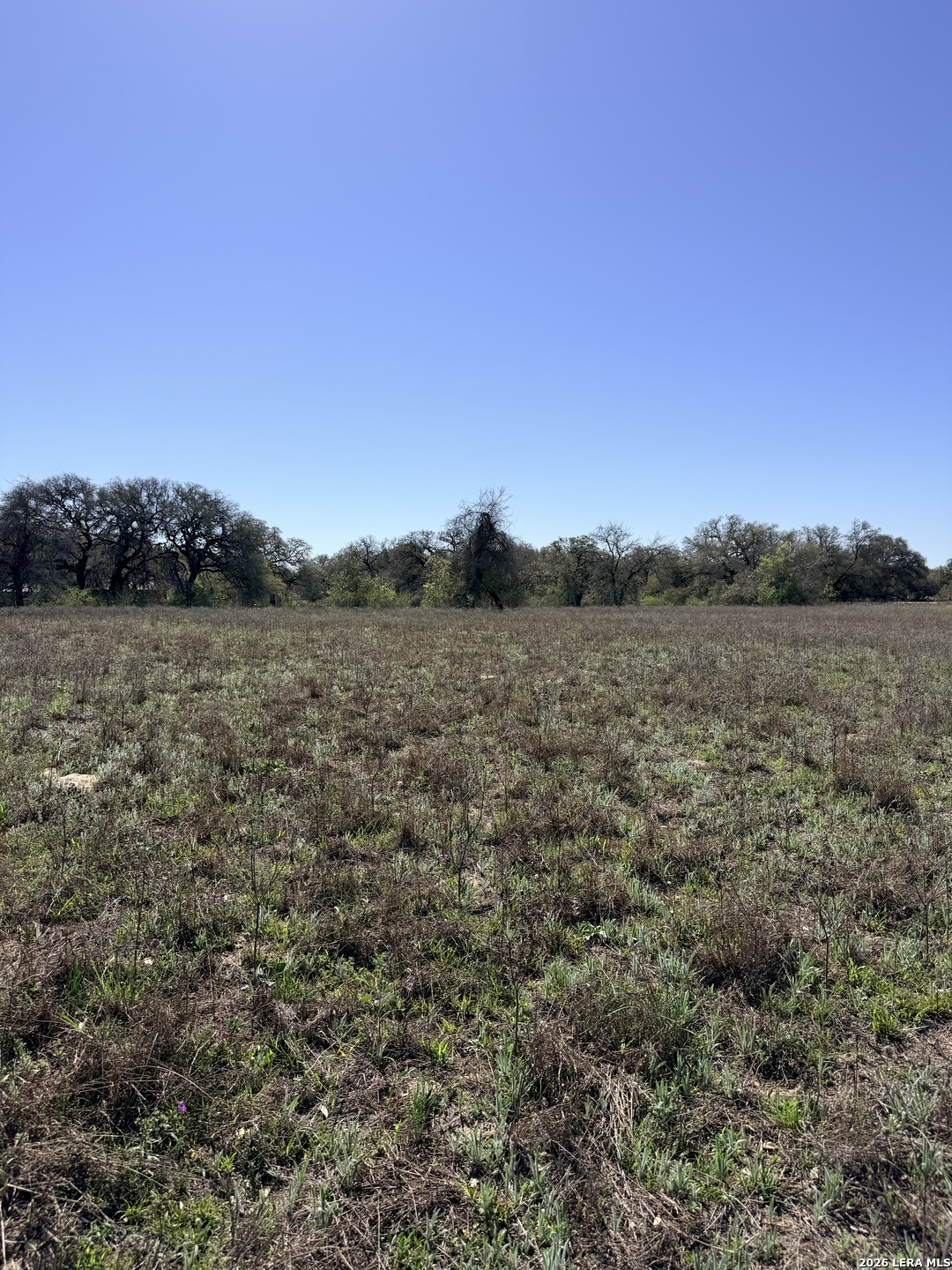 25600 Campbellton Road San Antonio, TX 78264 - Photo 16 of 20 a view of a field with trees in background