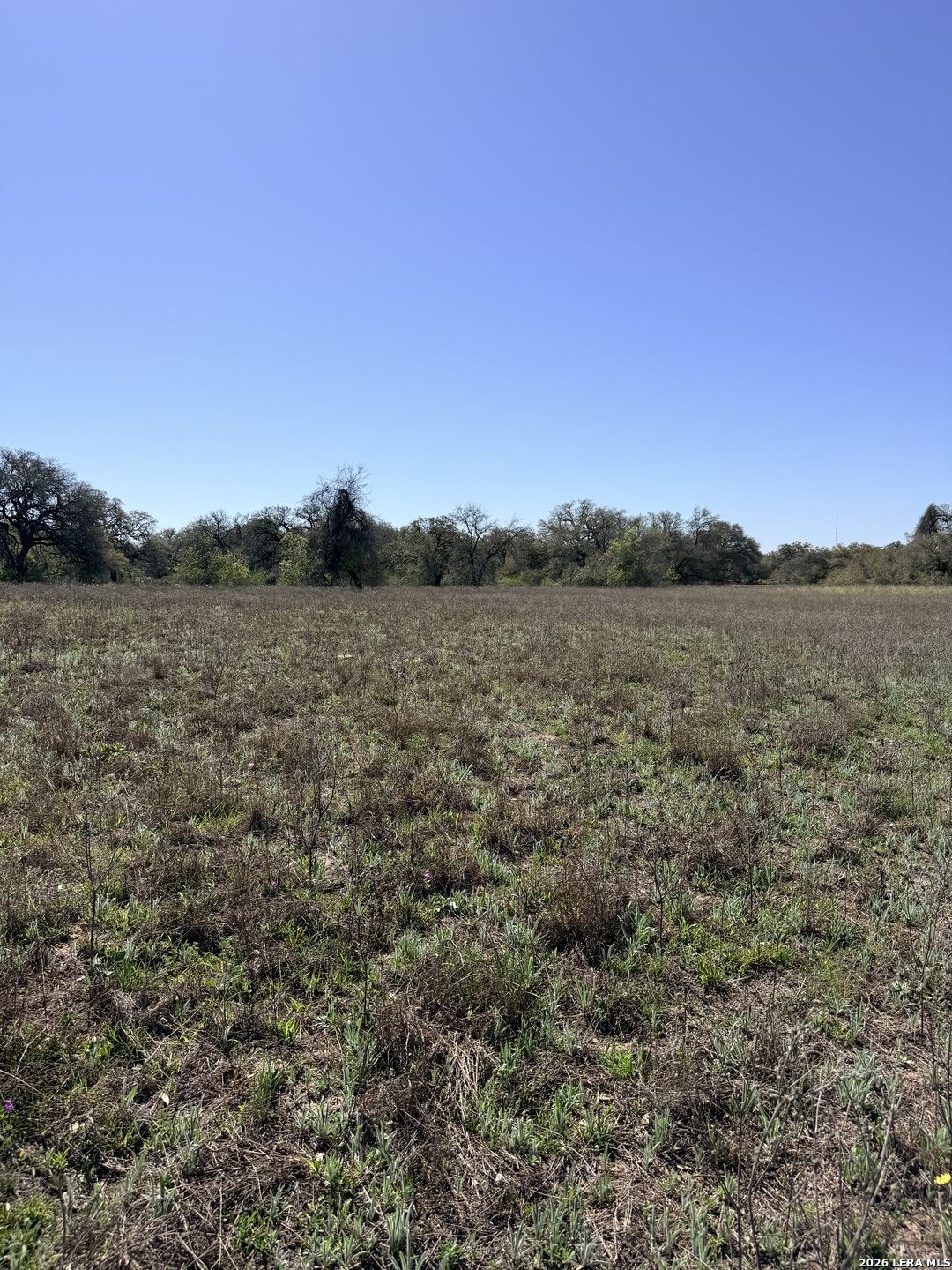 25600 Campbellton Road San Antonio, TX 78264 - Photo 20 of 20 a view of a field with trees in background