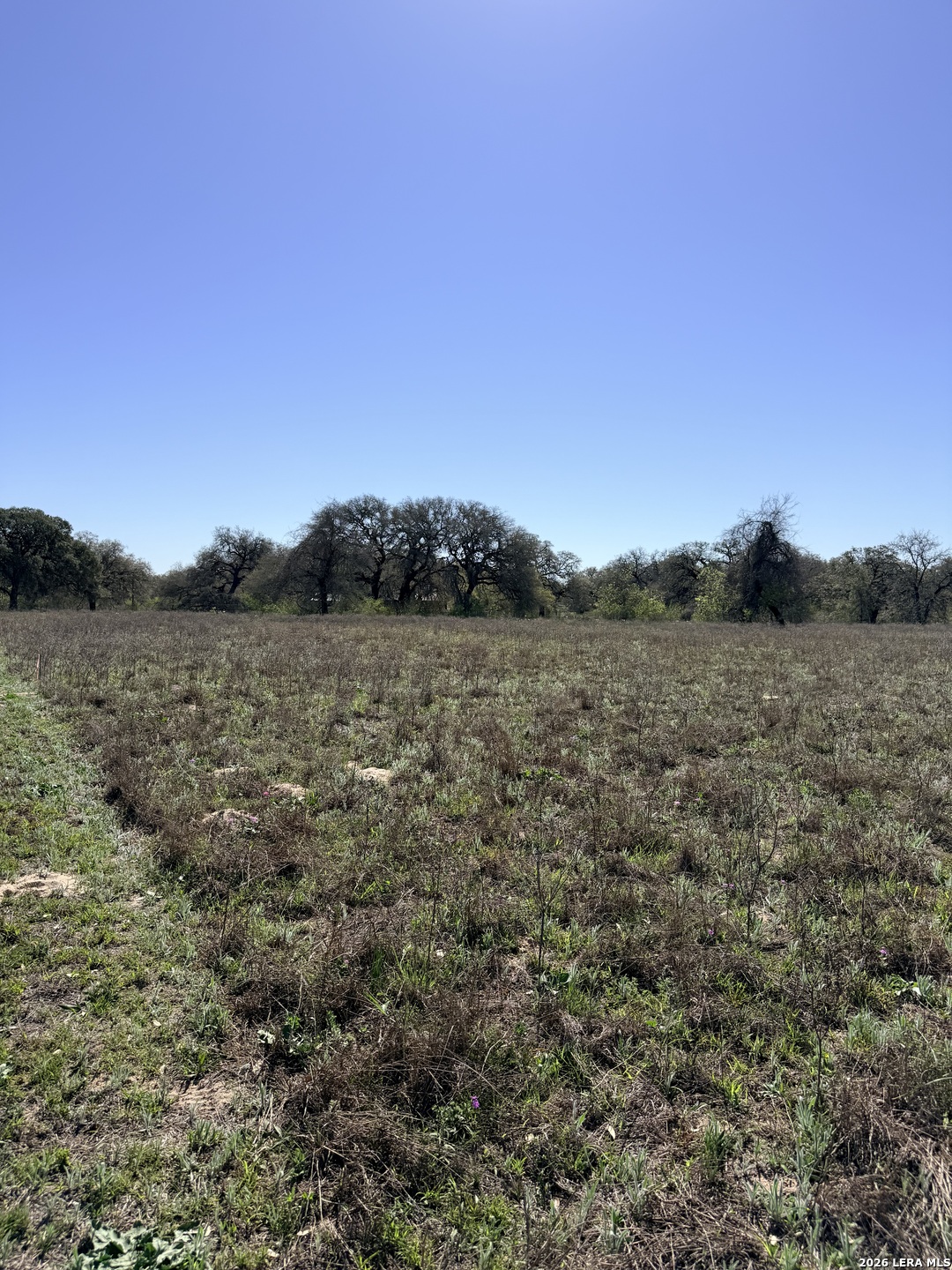 25600 Campbellton Road San Antonio, TX 78264 - Photo 10 of 20 a view of a field with trees in background