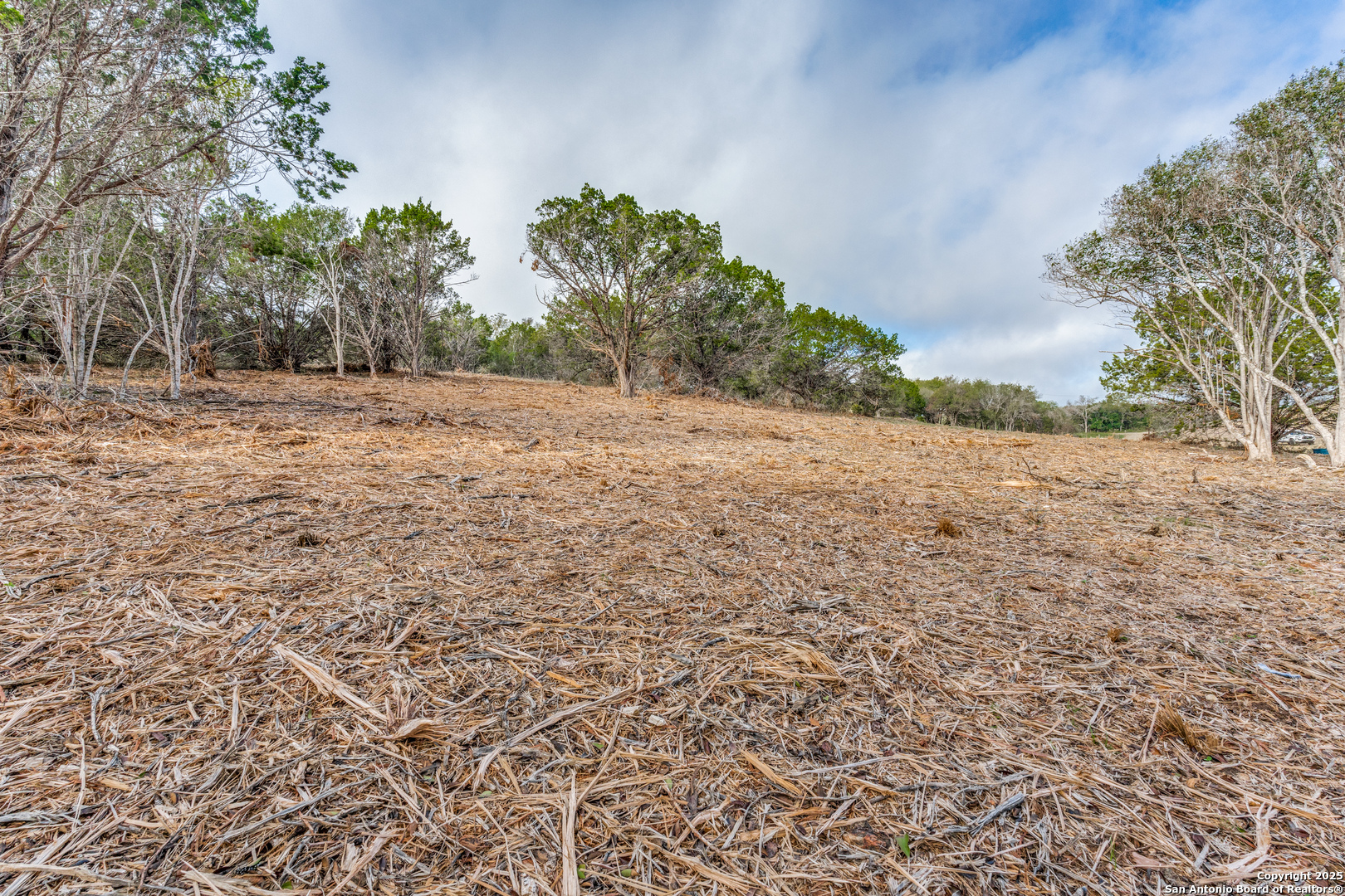 14 Wesp Way Live Oak, TX 78233 - Photo 6 of 10 a view of dirt field with trees in background