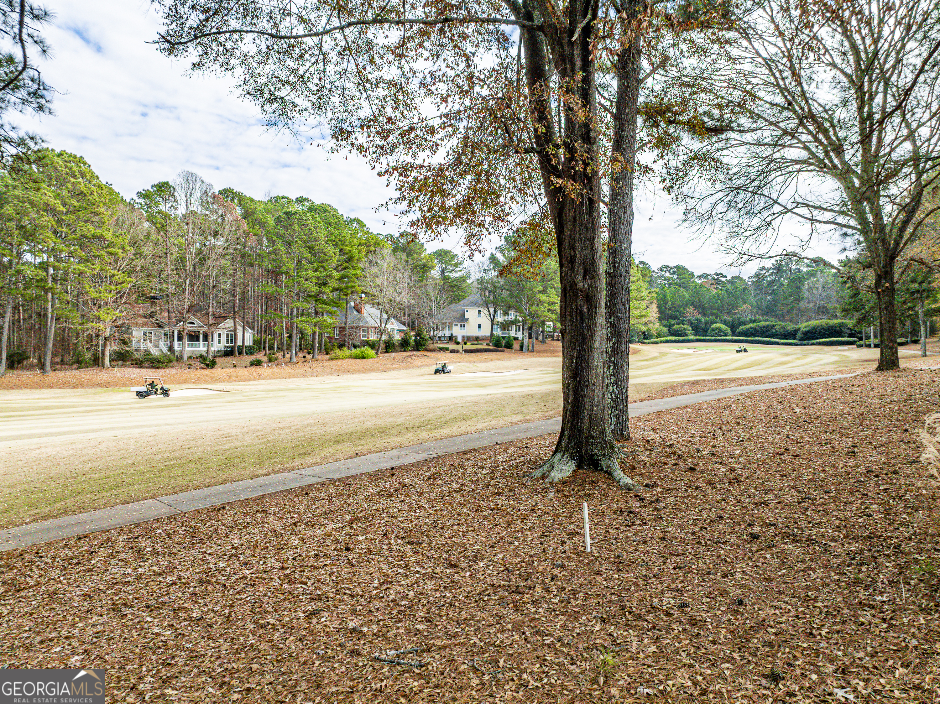 100 Camelrest Lane Eatonton, GA 31024 - Photo 48 of 59 a view of a yard with a tree