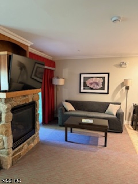 2 Chamonix Drive, Unit 212 Vernon, NJ 07462 - Photo 11 of 21 a living room with furniture and a fireplace