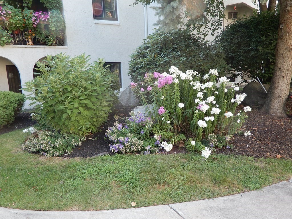 120 Fellsview Road, Unit 124 Stoneham, MA 02180 - Photo 15 of 20 a bunch of flowers in front of the house