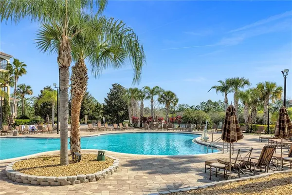 a view of a yard with palm trees