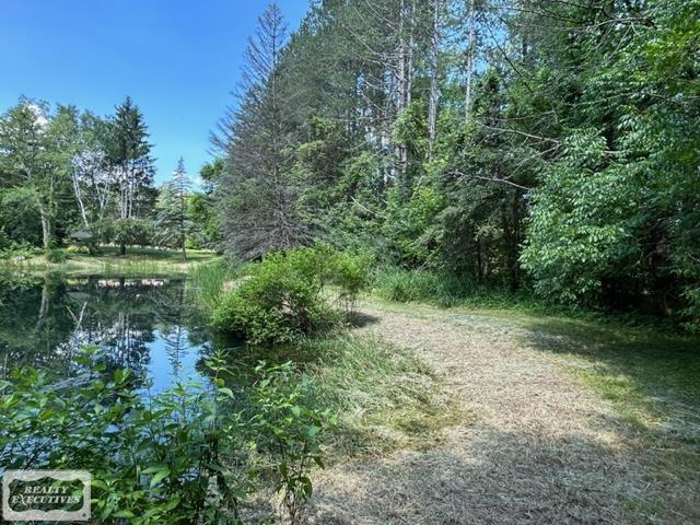 66700 Campground Road Washington, MI 48095 - Photo 41 of 50 50115478-40.JPG
