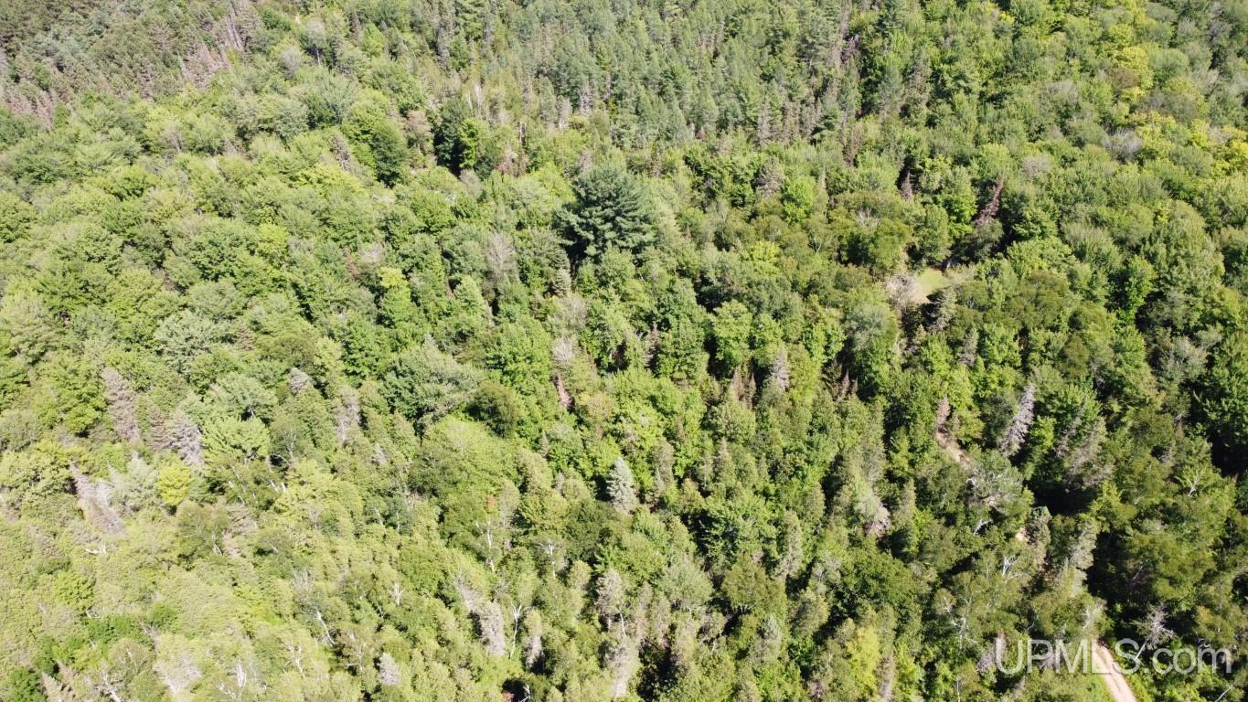 Tbd Tbd Stack Grade Little Lake Rock, MI 49880 - Photo 30 of 45