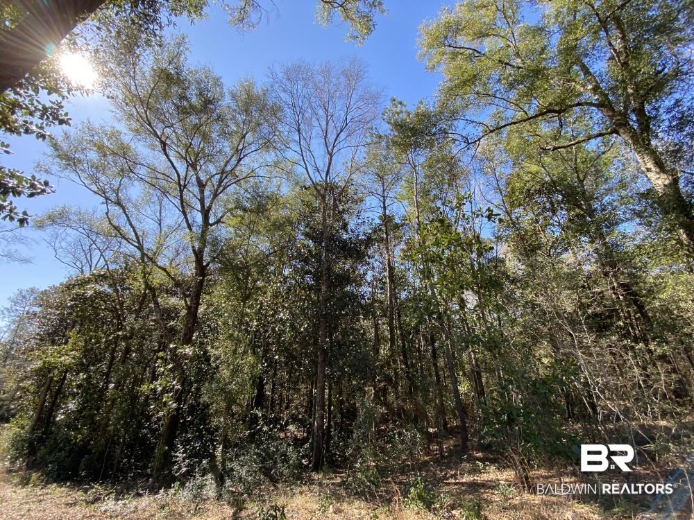 0 Moffett Road Semmes, AL 36575 - Photo 4 of 7
