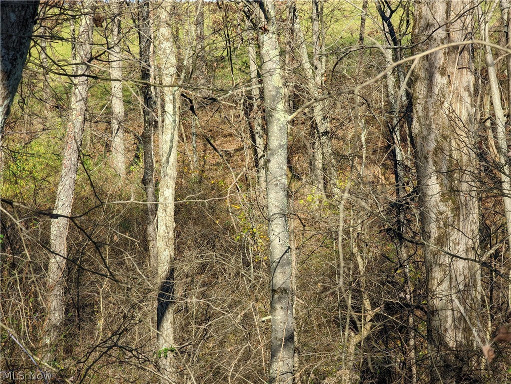 6 County Road Tippecanoe, OH 44699 - Photo 27 of 28 Gallery Image 27