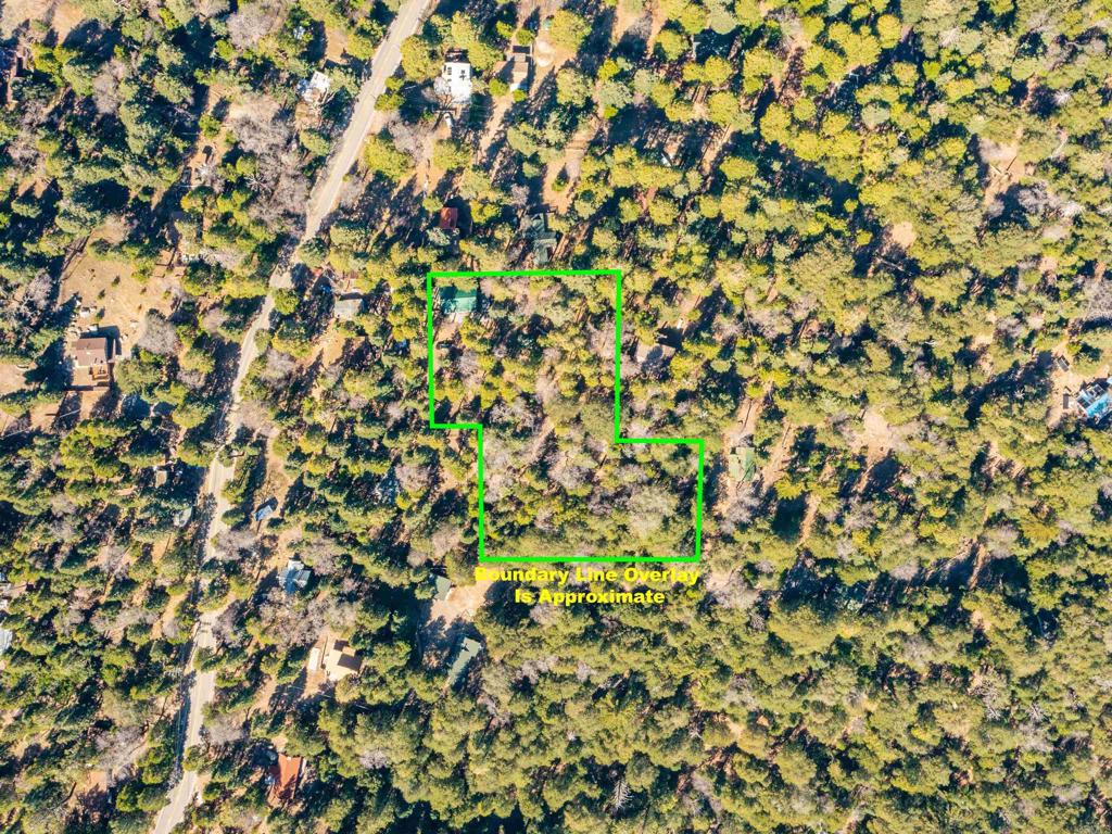 21868 Crestline Road Palomar Mountain, CA 92060 - Photo 24 of 26 a view of a tree