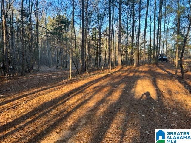 0 Arco Dairy Road Alpine, AL 35014 - Photo 2 of 9