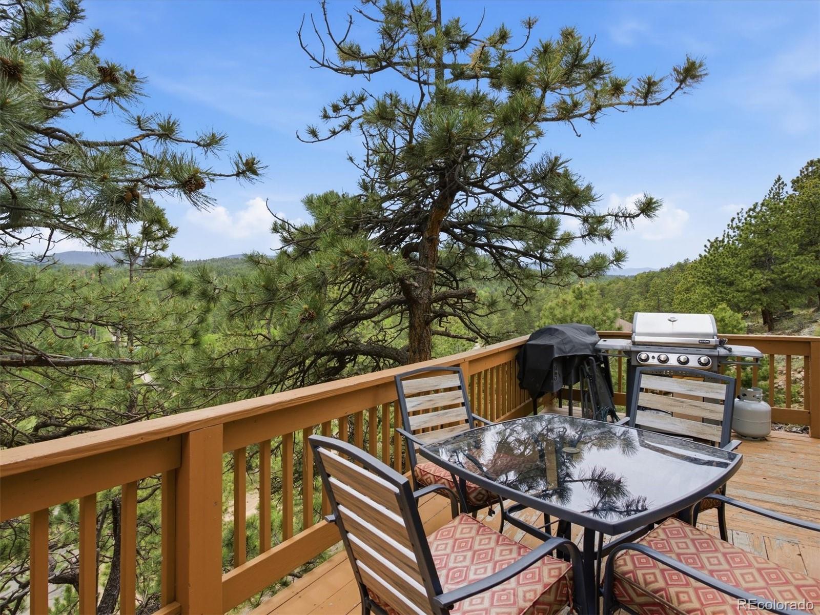 117 Spruce Trail Bailey, CO 80421 - Photo 33 of 47