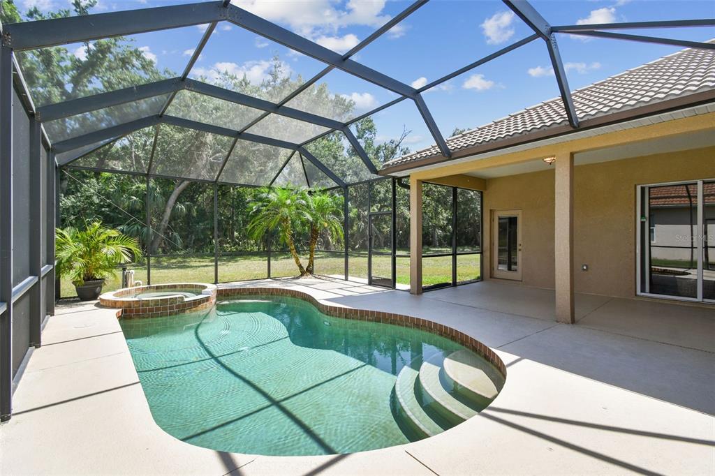 9008 Brookfield Terrace Bradenton, FL 34212 - Photo 28 of 81 a view of a swimming pool with a patio