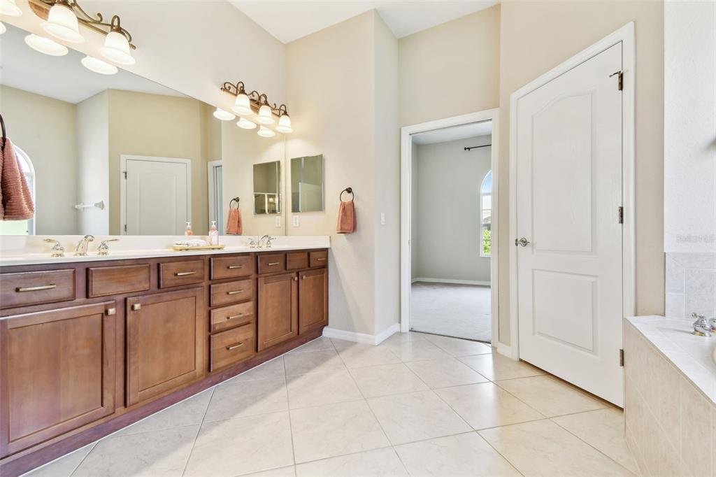 9008 Brookfield Terrace Bradenton, FL 34212 - Photo 57 of 81 a spacious bathroom with a granite countertop sink a mirror and a bathtub