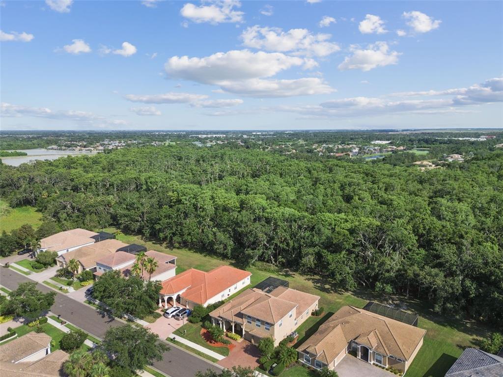 9008 Brookfield Terrace Bradenton, FL 34212 - Photo 72 of 81 an aerial view of residential houses with outdoor space and trees