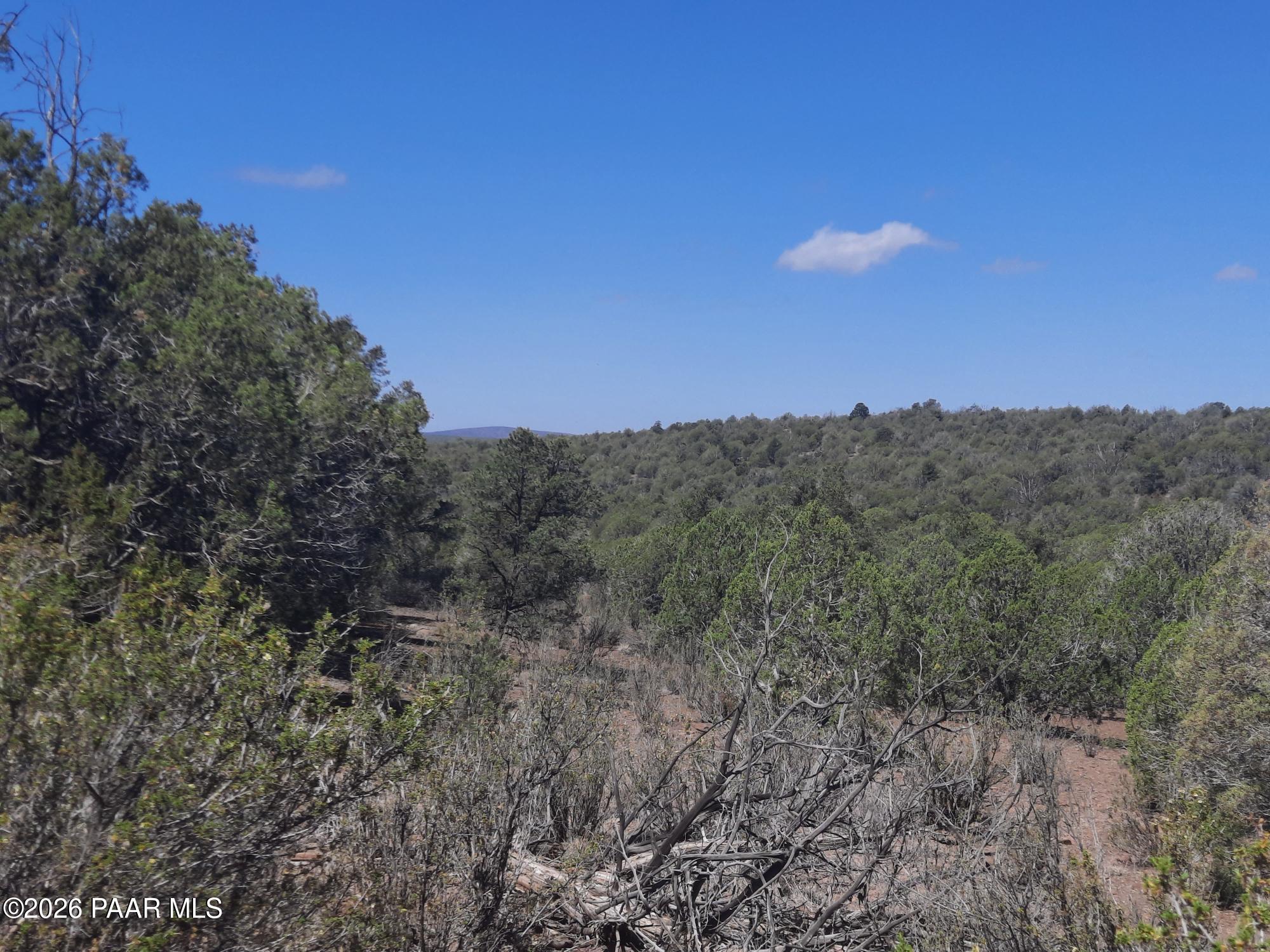 Lot 860 Fort Rock Road Kingman, AZ 86401 - Photo 18 of 20 a view of a city with lush green forest