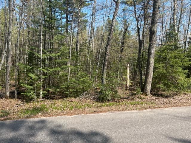 On White Birch Road, Unit LOT 9 Eagle River, WI 54521 - Photo 2 of 4 Gallery Image 2