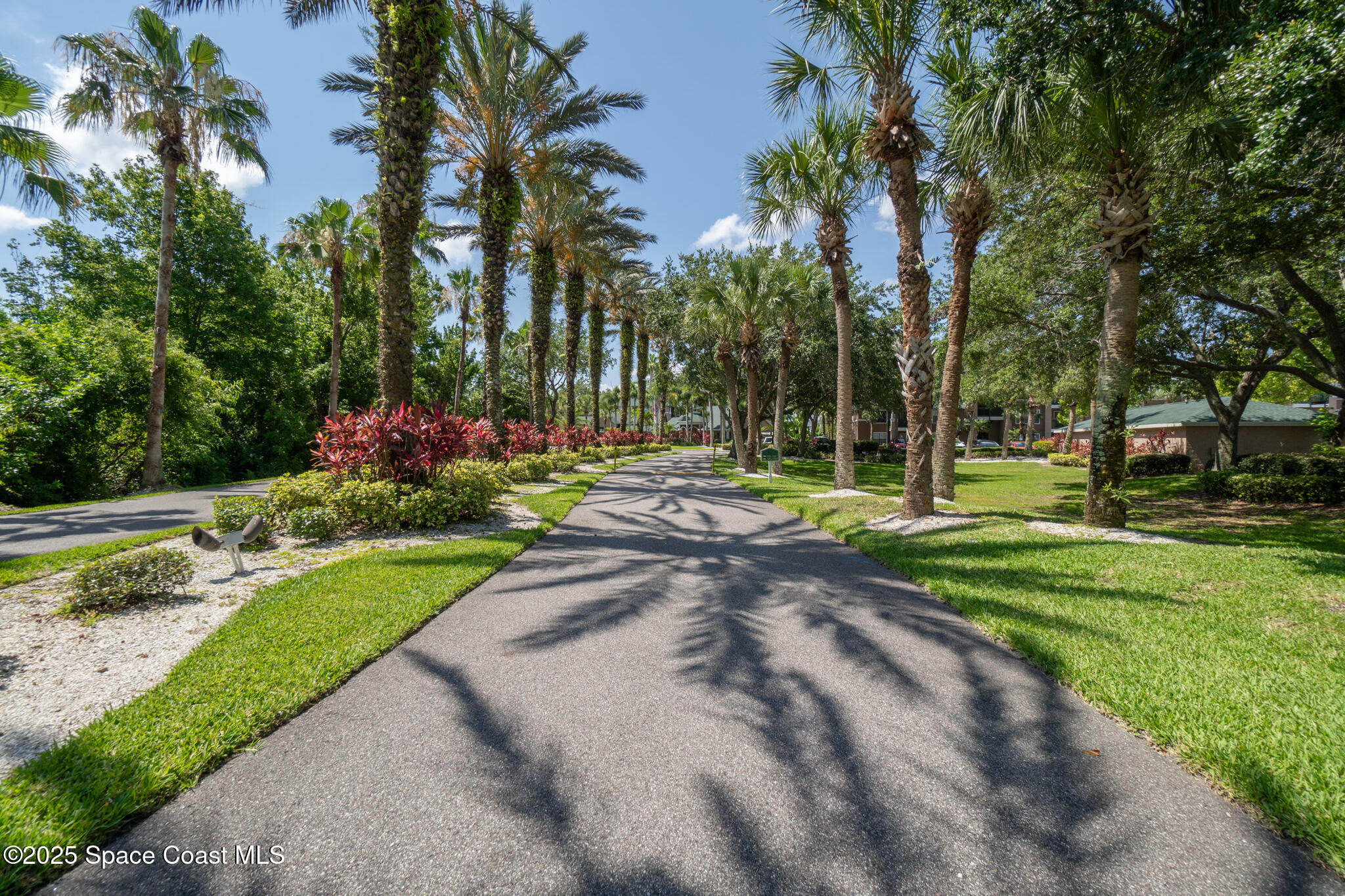 7667 North Wickham Road, Unit 222 Melbourne, FL 32940 - Photo 11 of 38 a view of a park with palm trees