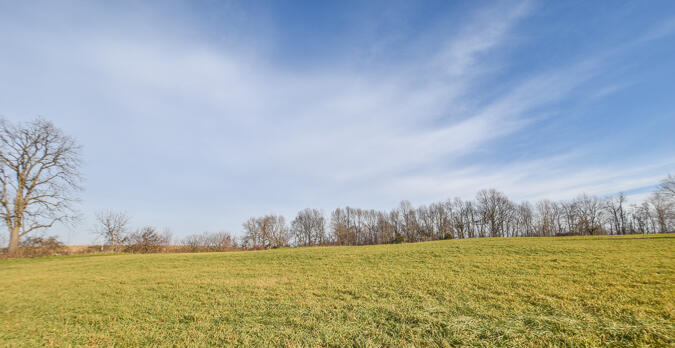 275 Maple Road Quincy, MI 49082 - Photo 36 of 37 DSC_0391