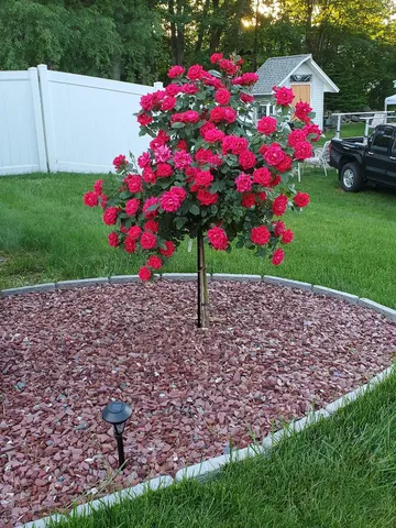 $449,900 | 53 Beech Street, Milford, NH 03055