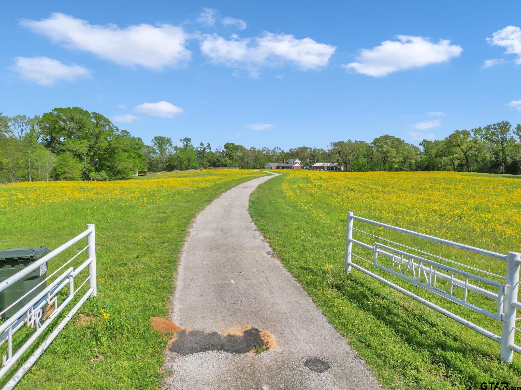 18340 County Road 479 Lindale, TX 75771 - Photo 8 of 42