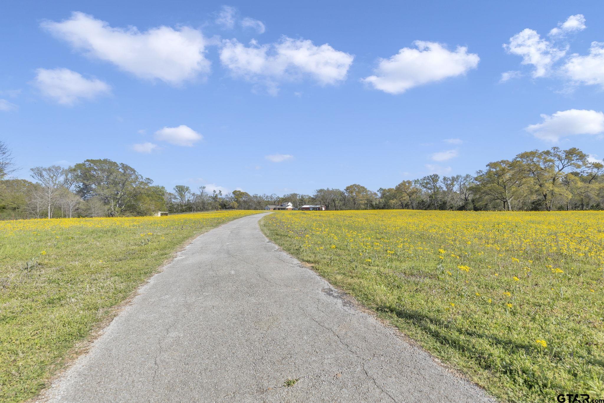 18340 County Road 479 Lindale, TX 75771 - Photo 9 of 42