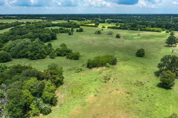 a view of a lush green forest with lots of trees and some houses