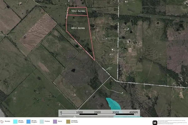 a close up of a tree