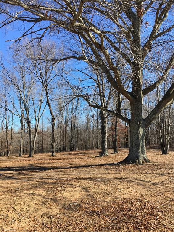 2-acres Williams Road Madison, NC 27025 - Photo 1 of 5 Gallery Image 1