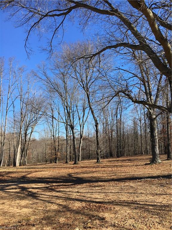 2-acres Williams Road Madison, NC 27025 - Photo 2 of 5 Gallery Image 2