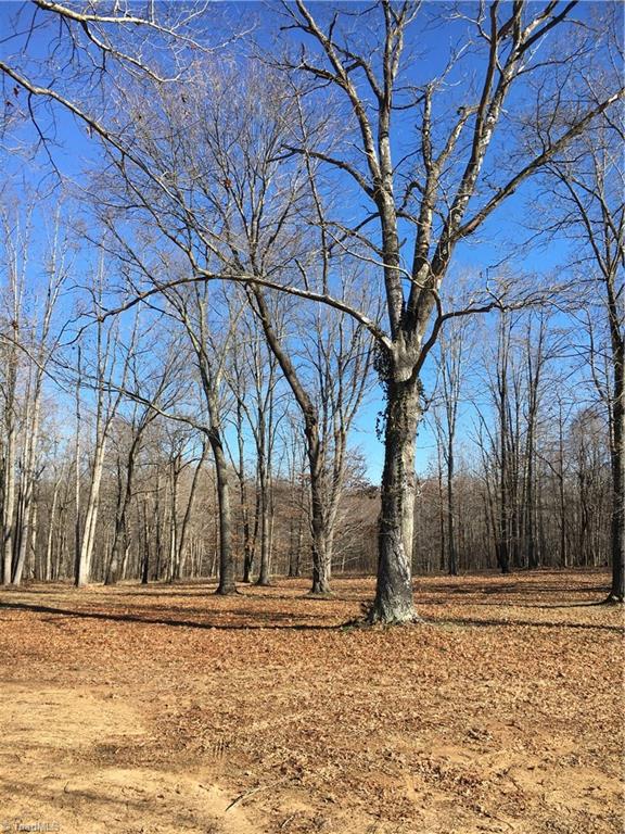 2-acres Williams Road Madison, NC 27025 - Photo 3 of 5 Gallery Image 3