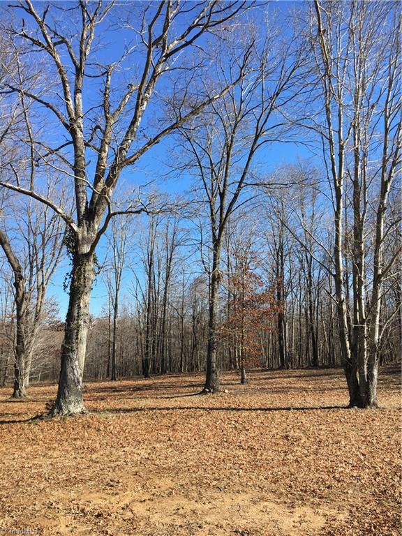 2-acres Williams Road Madison, NC 27025 - Photo 4 of 5 Gallery Image 4