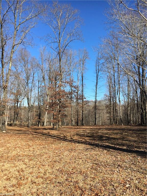 2-acres Williams Road Madison, NC 27025 - Photo 5 of 5 Gallery Image 5