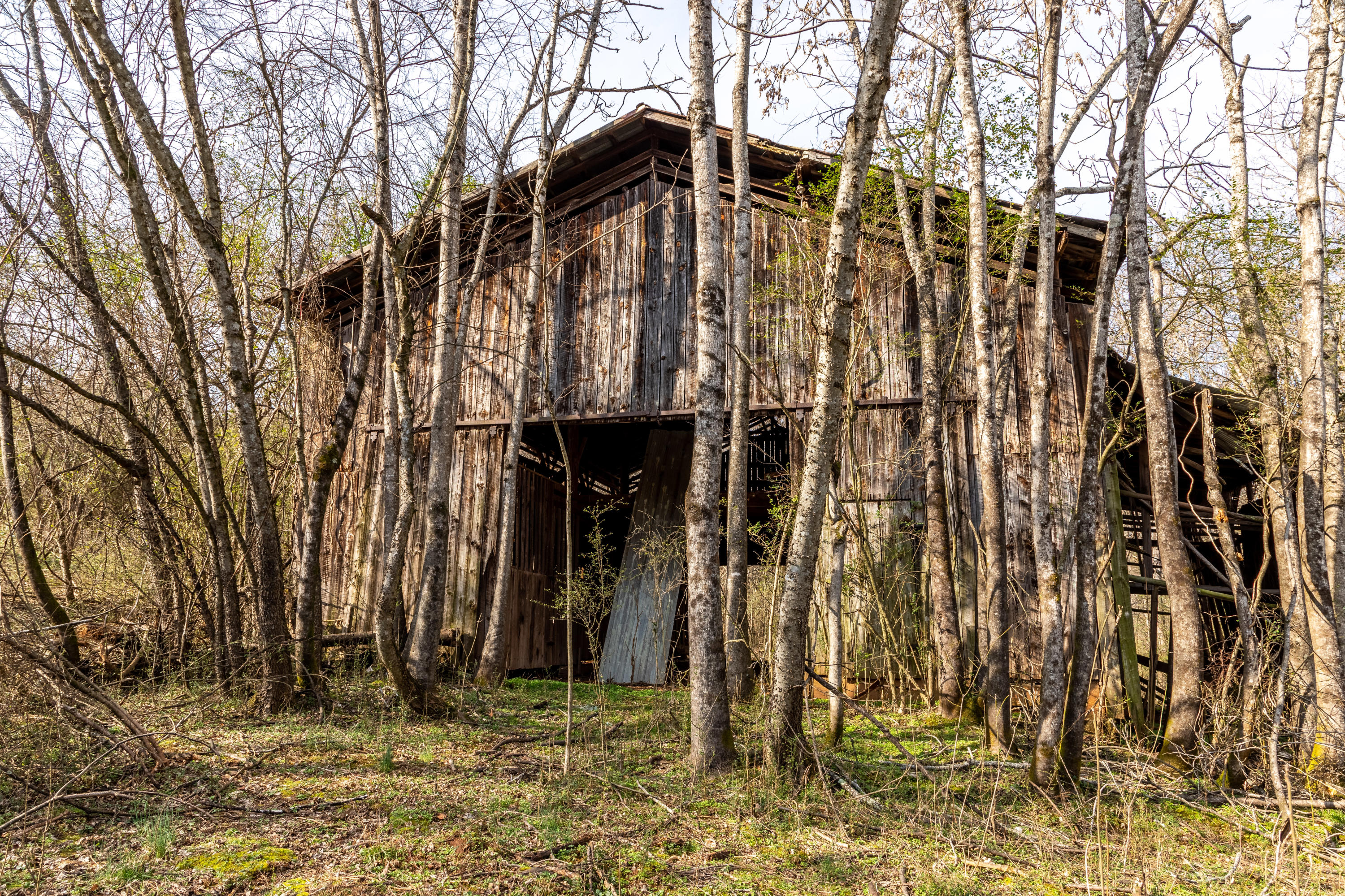 Rest Camp Road Lenoir City, TN 37772 - Photo 8 of 14 IMG_7898-HDR