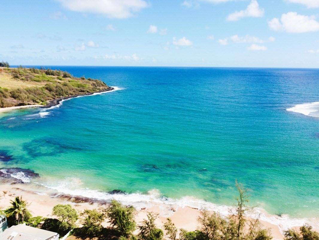 3564 Moloaa Road, Unit B Kilauea, HI 96754 - Photo 3 of 18 Gallery Image 3