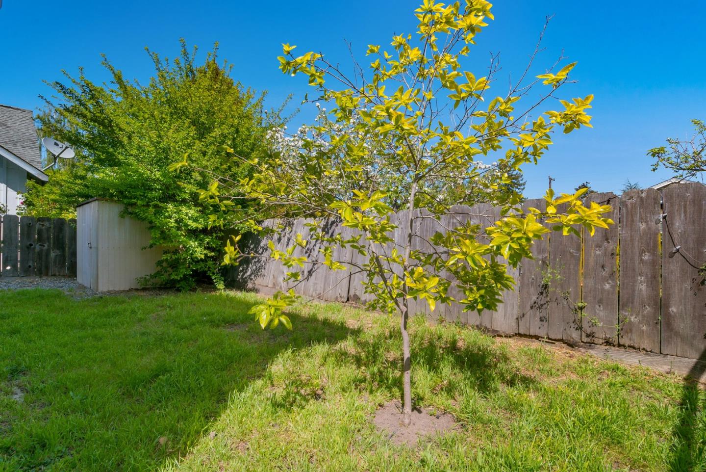 620 Sumner Street Santa Cruz, CA 95062 - Photo 30 of 45 a backyard of a house with lots of green space