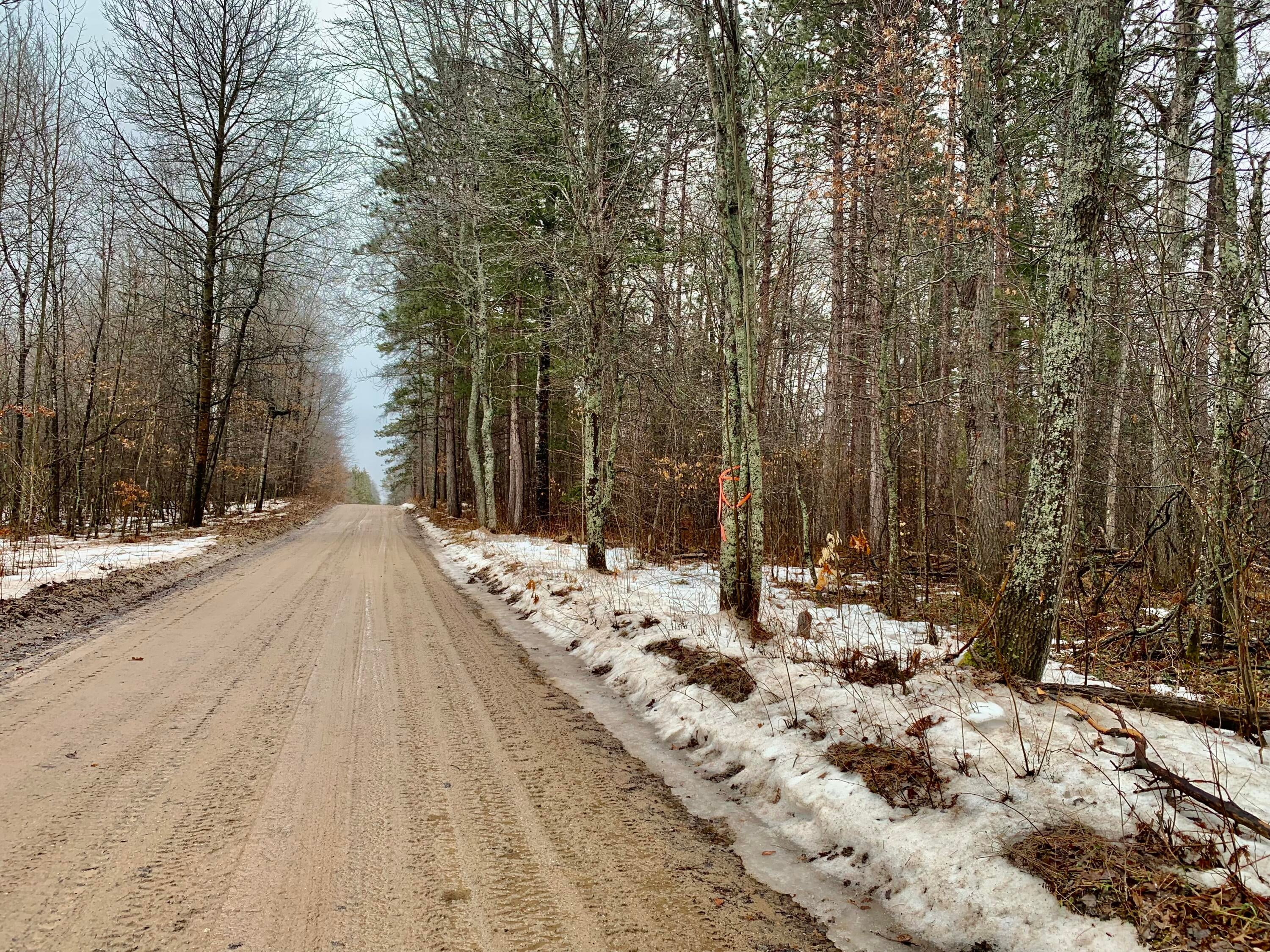 1 West Helmer Lake Road Mio, MI 48647 - Photo 3 of 9 Gallery Image 3