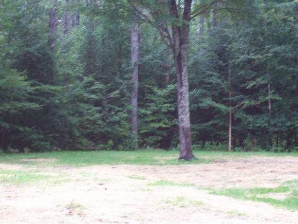 360 Plain Road Bath, NH 03740 - Photo 1 of 1