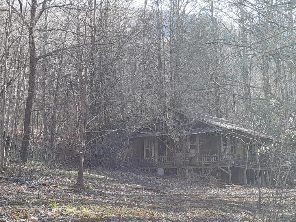 4542 Junaluska Road Andrews, NC 28901 - Photo 3 of 4