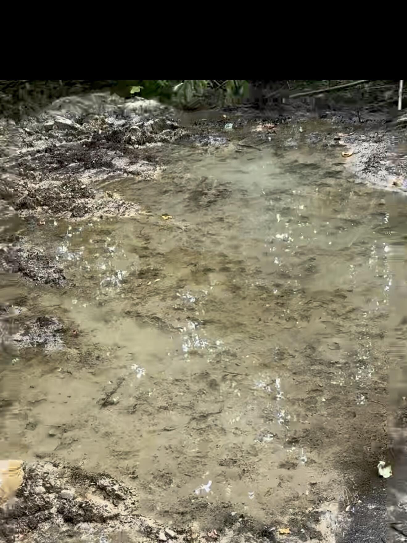 Lot 11 Happy Top Road McKee, KY 40447 - Photo 3 of 12 Develop your own private spring water source and enjoying some of the purest mountain water Kentucky has to offer.