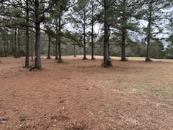$85,000 | 26585 Old Lake Road, Mount Hermon, LA 70450