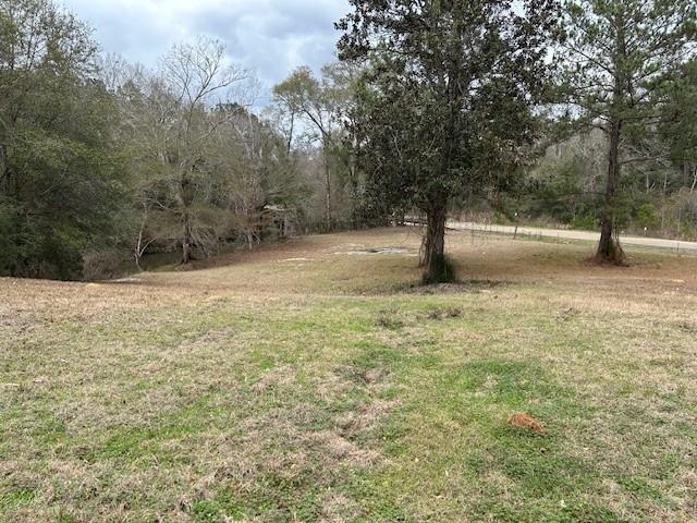 26585 Old Lake Road Mount Hermon, LA 70450 - Photo 2 of 7