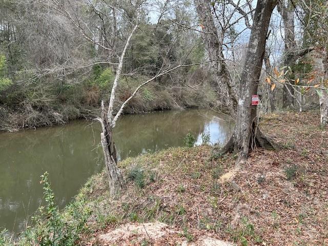 26585 Old Lake Road Mount Hermon, LA 70450 - Photo 3 of 7