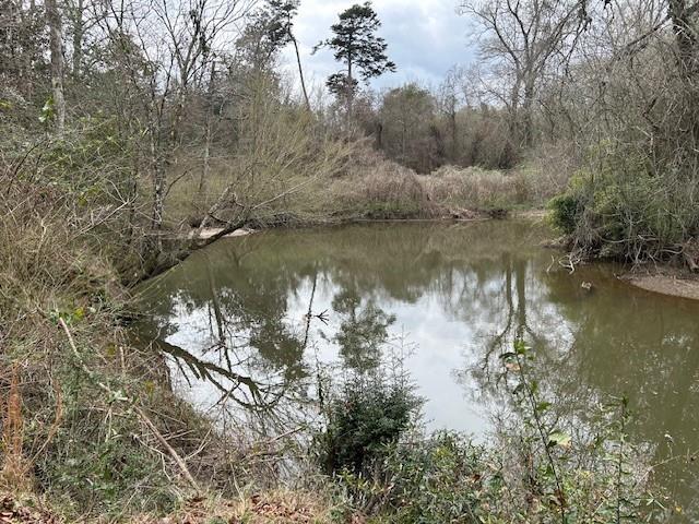 26585 Old Lake Road Mount Hermon, LA 70450 - Photo 4 of 7