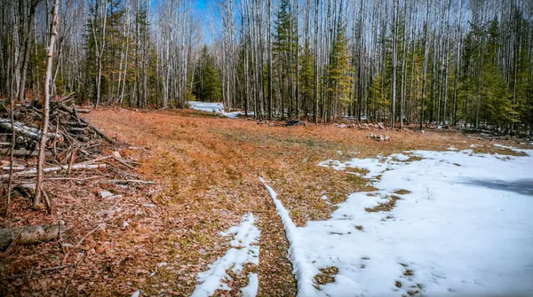 $52,900 | 115 Tower Mn 55790, Tower, MN 55790